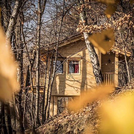 Vila Il Nido Del Casalot Frassino Exteriér fotografie