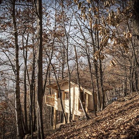 Vila Il Nido Del Casalot Frassino Exteriér fotografie