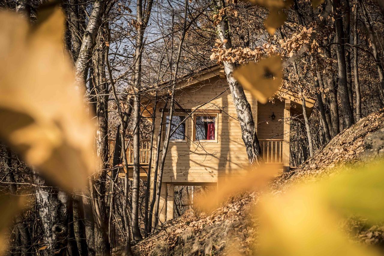 Vila Il Nido Del Casalot Frassino Exteriér fotografie